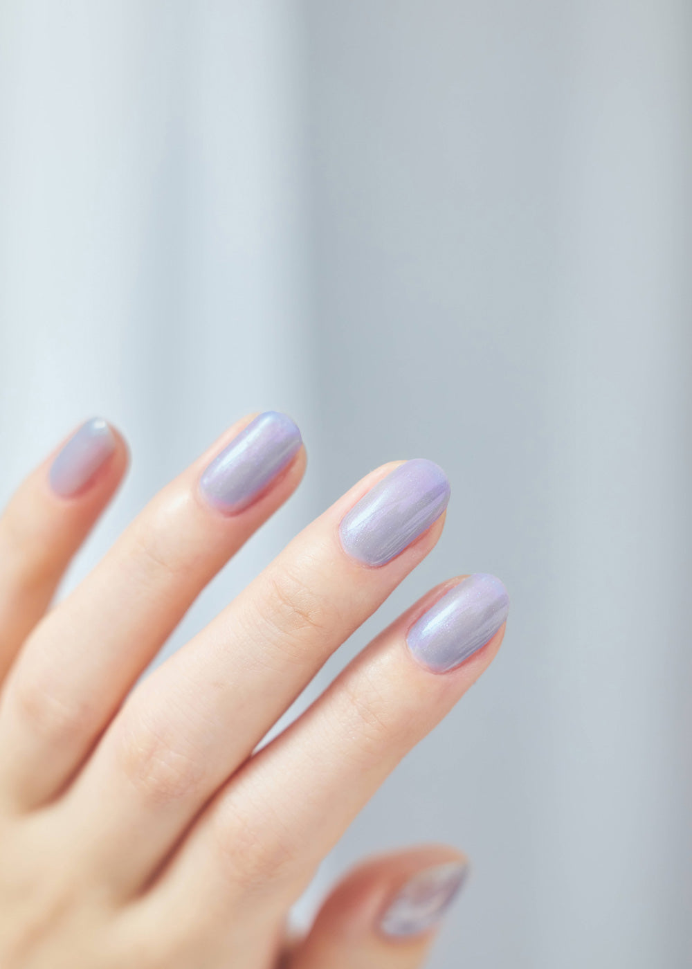 bleuet