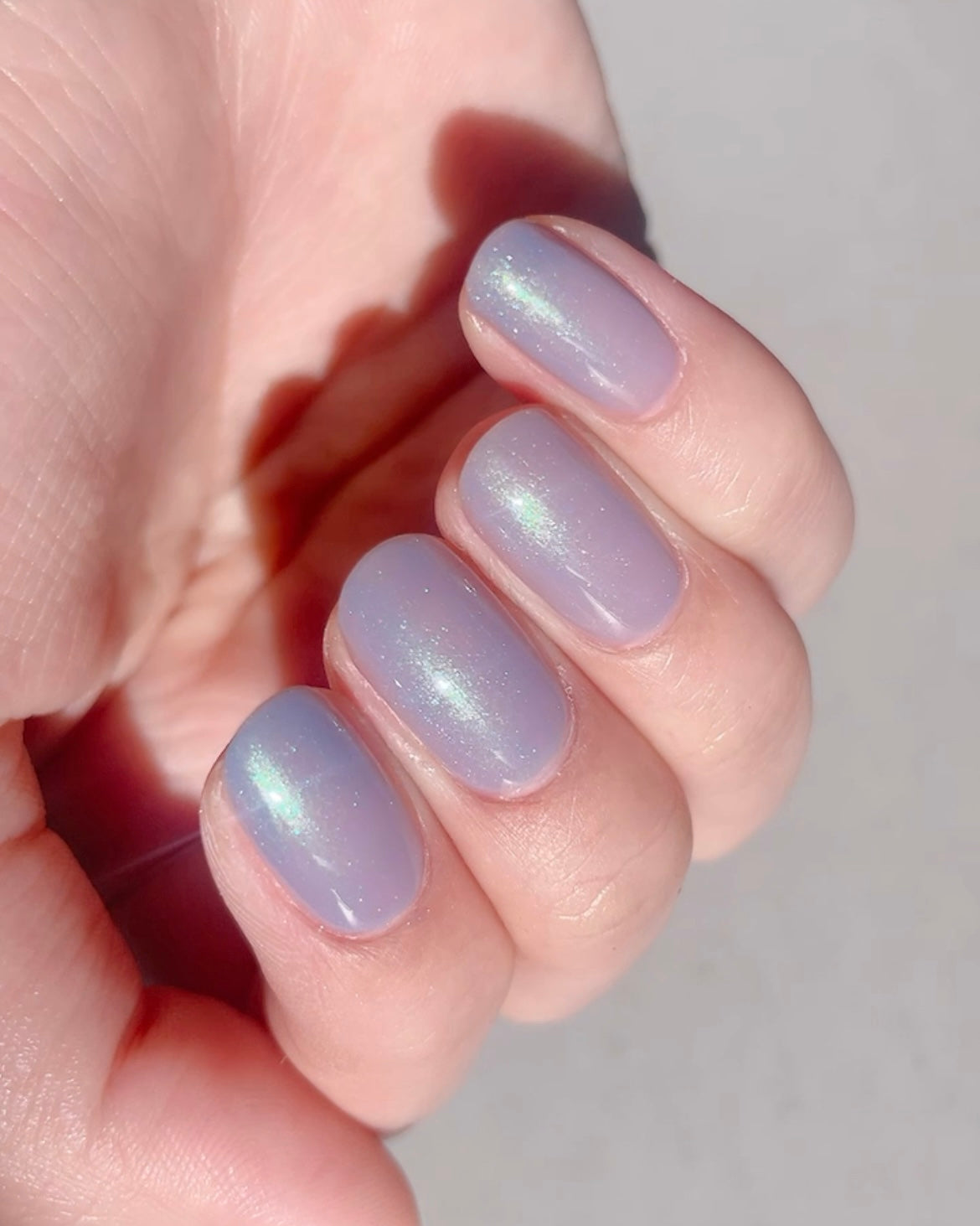 bleuet