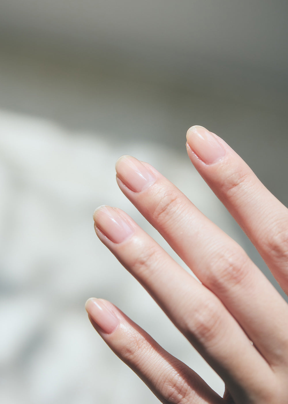 dazzlin top coat