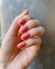 Thumbnail Image 4